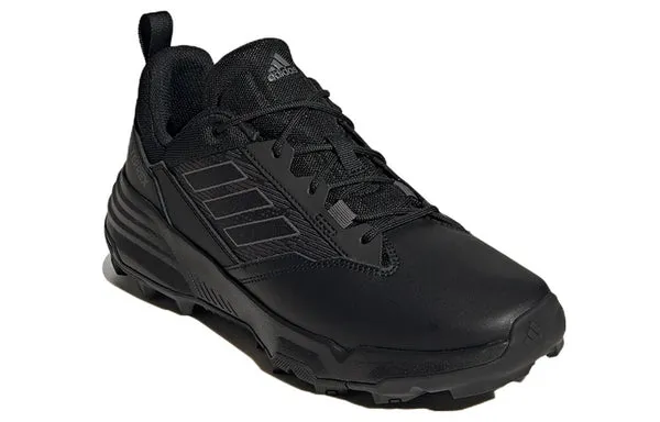 adidas Terrex Unity Lea Low sneakers, black