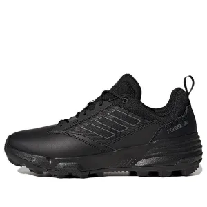 adidas Terrex Unity Lea Low sneakers, black