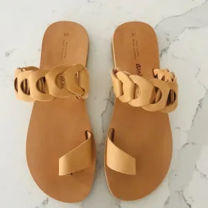 Ambrosia Sample 1 Size 40