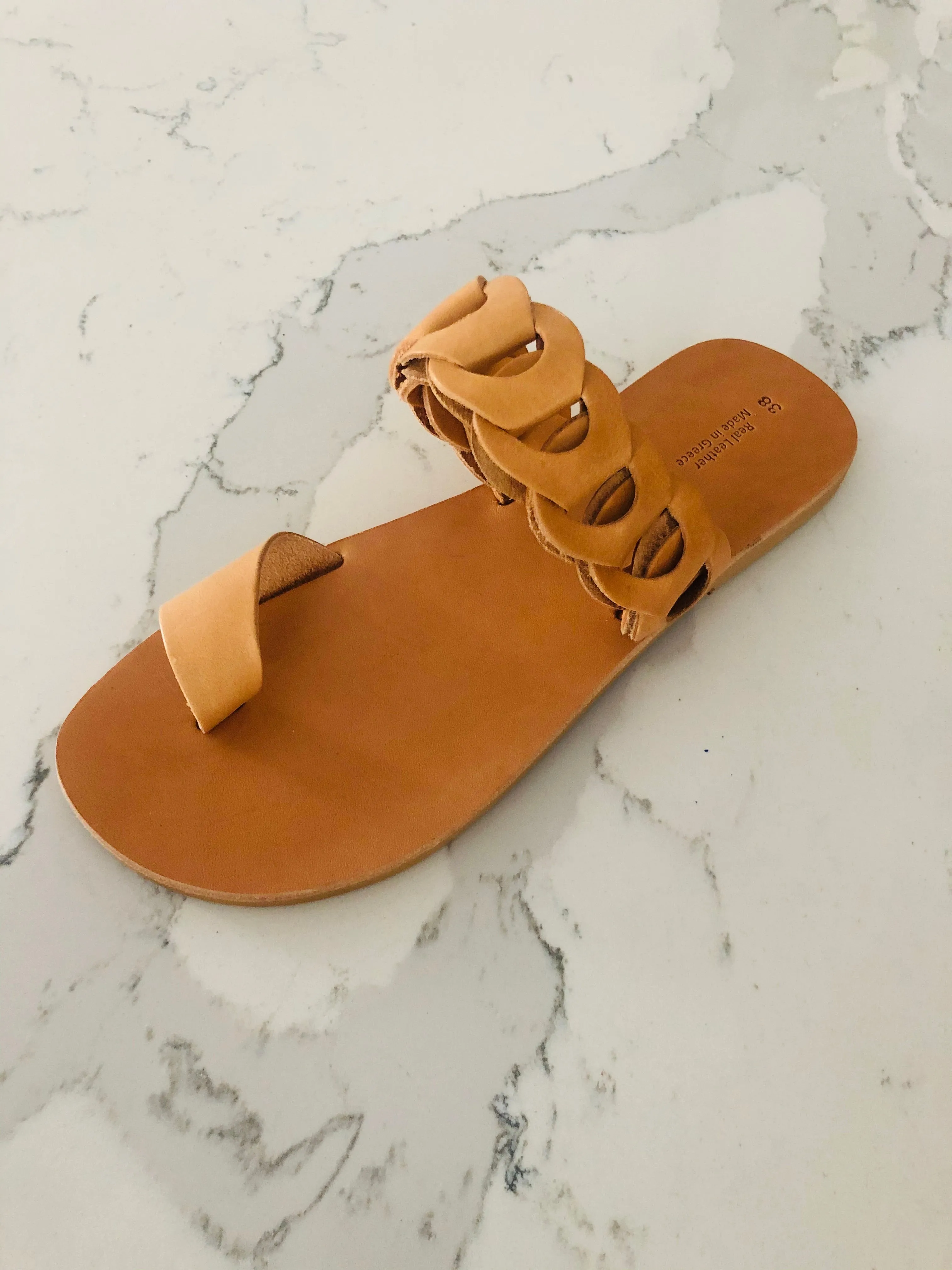 Ambrosia Sample 1 Size 40
