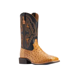 Hybrid Shoes