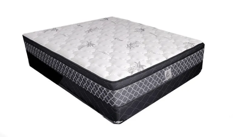 Doctor Firm Orthopedic Euro Top Mattress
